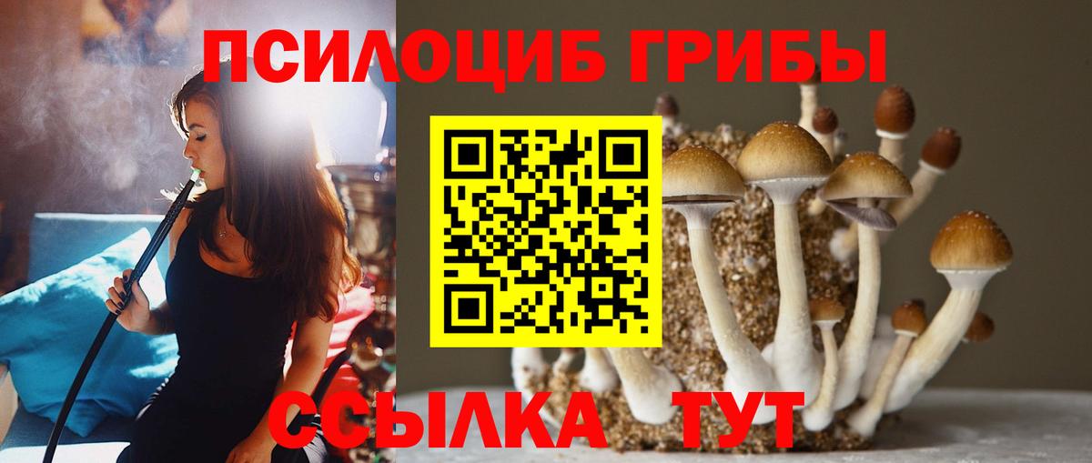 Вологда  как найти закладки  Вход с VPN  Псилоцибиновые грибы Magic Shrooms 